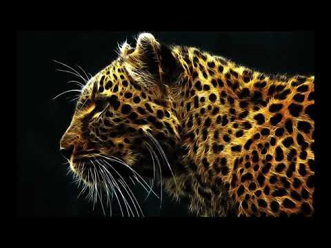 [Lourd ! ] Instru Trap/Rap Francais ! - 2016 - Indépendant !