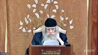 הגה"ח הרב מענדל וועכטר שליט"א- כח טבת תשפ"ה מאמר הרבי הרש"ב (הרב אברהם מנחם מענדל וכטר) - התמונה מוצגת ישירות מתוך אתר האינטרנט יוטיוב. זכויות היוצרים בתמונה שייכות ליוצרה. קישור קרדיט למקור התוכן נמצא בתוך דף הסרטון