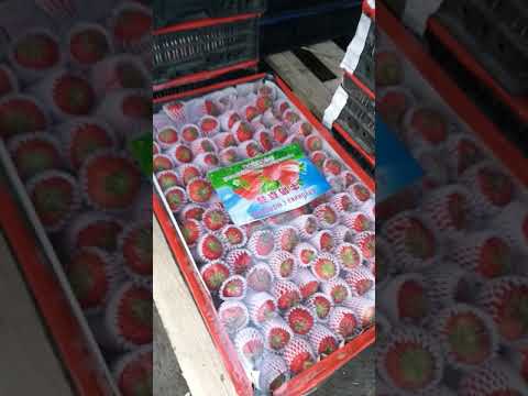 Фрукты Овощи со склада Хабаровска.