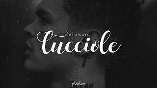 Lucciole Music Video