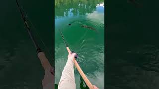 Clearest Lake in The World! #fishing #musky #figure8