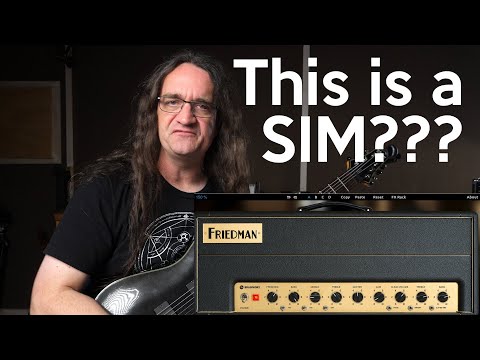 Next Generation Software Amp Sim:  Friedman BE-100