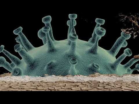 Polytox Podcast Folge 90   Nach Corona