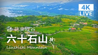 Hualien · Liushidan Mountain live stream
