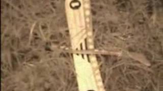 Jump, Little Children- Close Your Eyes