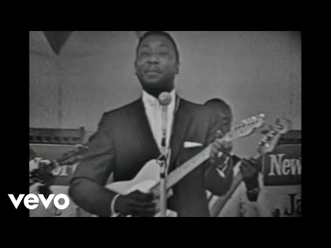 Muddy Waters - I'll Put A Tiger In Your Tank (Live)