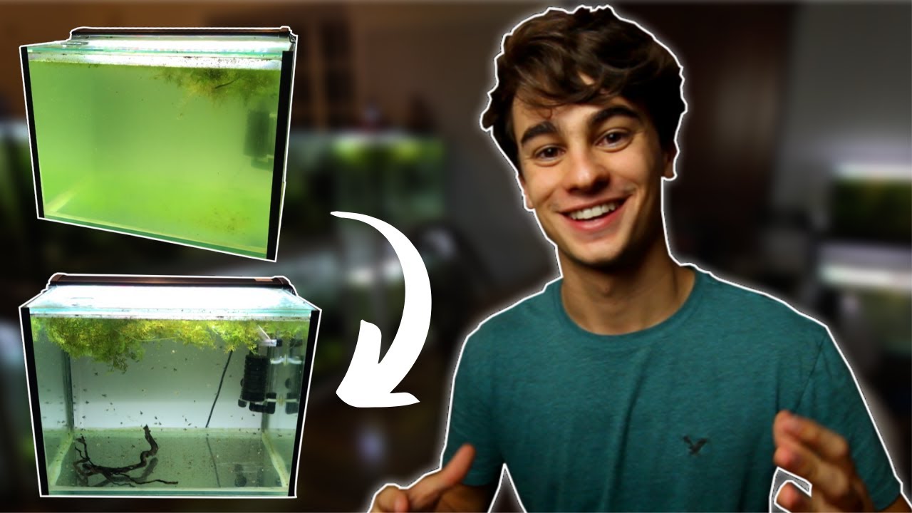 YouTube video preview