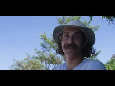 DEUS EX MACHINA SPRING SUMMER 2019 -Full Ver.-