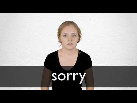 Hindi Translation Of Sorry Collins English Hindi Dictionary