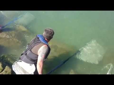 A Good Scoop White Baiting NZ