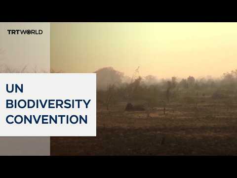 COP17 begins in Armenia with 2030 targets unlikely to be met