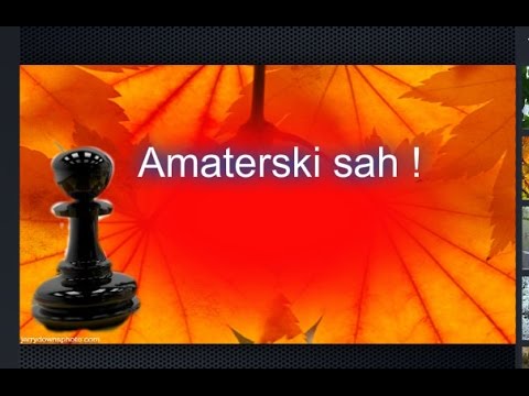 Amaterske partije domaceg šaha -  SLOBODAN DELiĆ  # 993