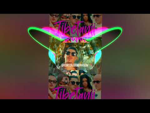 [BASS BOOSTED] ❌ Bogdan DLP ❎ ANISHA ❎ Vanessa ❎ Costi ❎ @OG Eastbull - Tibetanii #fortzaromania