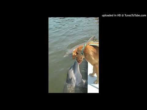 free gustav 01099 x pashanim type beat - 'wellen'