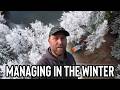 How WE Survive Caravanning In The Winter Our Tips And Tricks