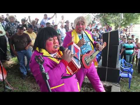 NORTHERN CATS SHOW IN LAS CRUCITAS CHILANGA MORAZAN