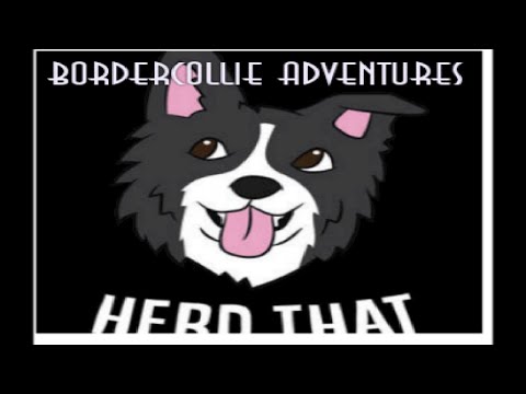 Along for the walk with Paddy.