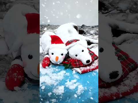 LOS PERROS DE MUÑECOS DE NIEVE. ARROYO DE SAN SERVAN. CAMPANARIO. BADAJOZ. EXTREMADURA