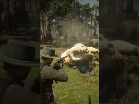 Red Dead Redemption 2 My Gun vs Legendary Bull Gator.#shorts #gaming #rdr2