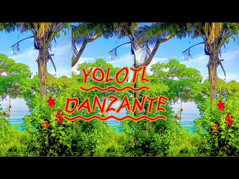 DJ SAMSARA- YOLOTL DANZANTE Set/ Tribal House/ Afro house/ Latin House