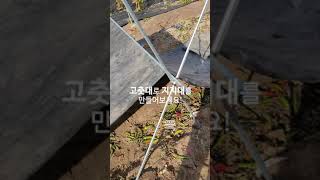 제초매트 5년 재활용을 위한 #shots