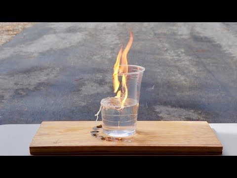 download lagu mp3 mp4 Not A Plastic Cup, download lagu Not A Plastic Cup gratis, unduh video klip Not A Plastic Cup