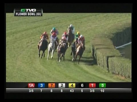 2013 Flower Bowl Invitational Stakes - Laughing