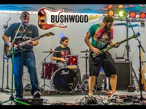 Keep On Moving [Bob Marley Cover] Full Band & Acoustic Remix Live by BUSHWOOD (Multicam)