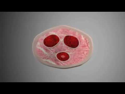Panca e potenza Che cosa accadrà se un membro della crema bambino striscio