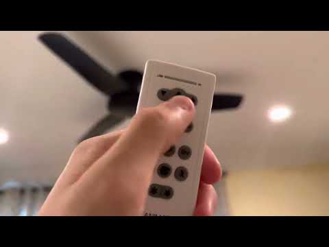 Fanimation Remote
