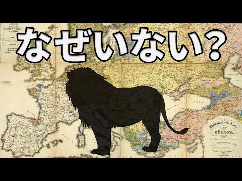 メスのジャガー