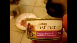 Nature's Variety Instinct Canned Cat Food Product Reviews - ねこ - ラグドール - Floppycats