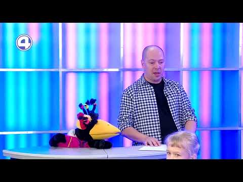 Ворона Капа увлеклась воздушной гемнастикой