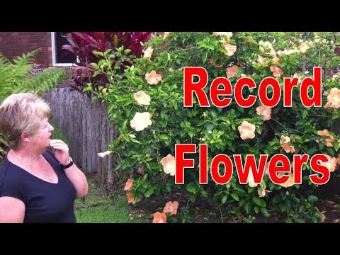 How to STIMULATE NEW GROWTH & Achieve RECORD FLOWERS... using Unknown Growth Factor