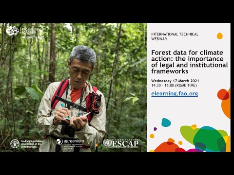 Forest data for climate action: the importance of legal and institutional frameworks