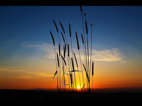 Ziehe deine Schuhe aus (nach 2. Mose 3, 5)  --  Studioaufnahme August 2020