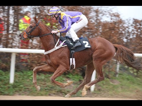 Neuss: Preis von Nancy EBF-Rennen (D) - Sieger: Call me number one