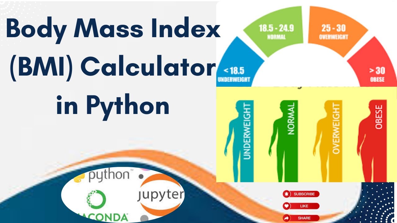 How to Create a BMI Calculator in Python | Jupyter Notebook Tutorial