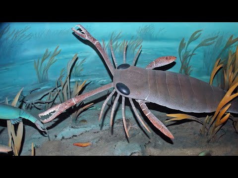 Tribute to Jaekelopterus