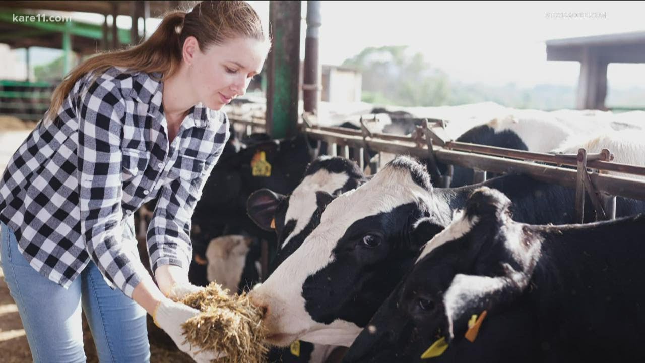 Meet the first female shot-caller on a fifth generation Wisconsin dairy farm