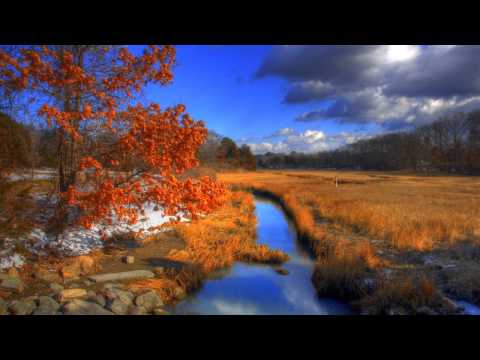 DJ Dave 202 pres Impaxx  - Feel