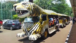 Download lagu 🚂 NAIK KERETA API TUT TUT | Kereta odong-odong harimau dan gajah Ragunan#laguanak#thomas mp3