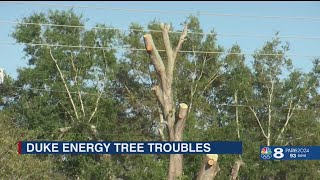 "It is just a disgusting eyesore," neighbors react to trees being cut down