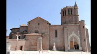 [Wikipedia] Canton of Moissac-1