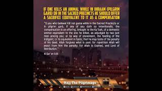 If One Kills An Animal While In Ihraam (Pilgrim Garb) Or In The Sacred Precincts He Should Offer ...