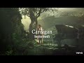 Cardigan - Taylor Swift (lyrics)