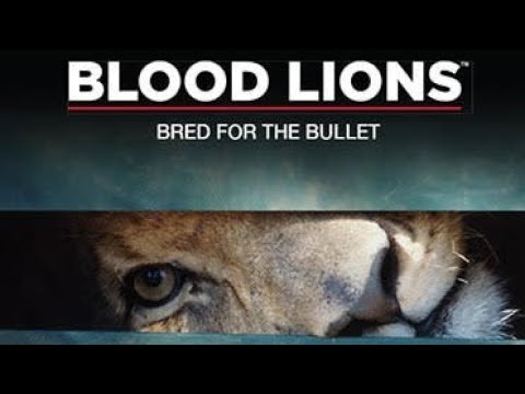 Blood Lions - Documentary - 2015