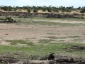 More Landscape Of The Kalahari Desert Namibia