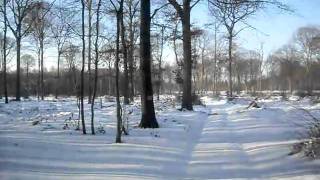 preview picture of video 'La neige dans la forêt près de Senlis'