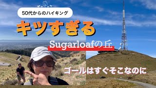 50代国際結婚夫婦の近場ハイク